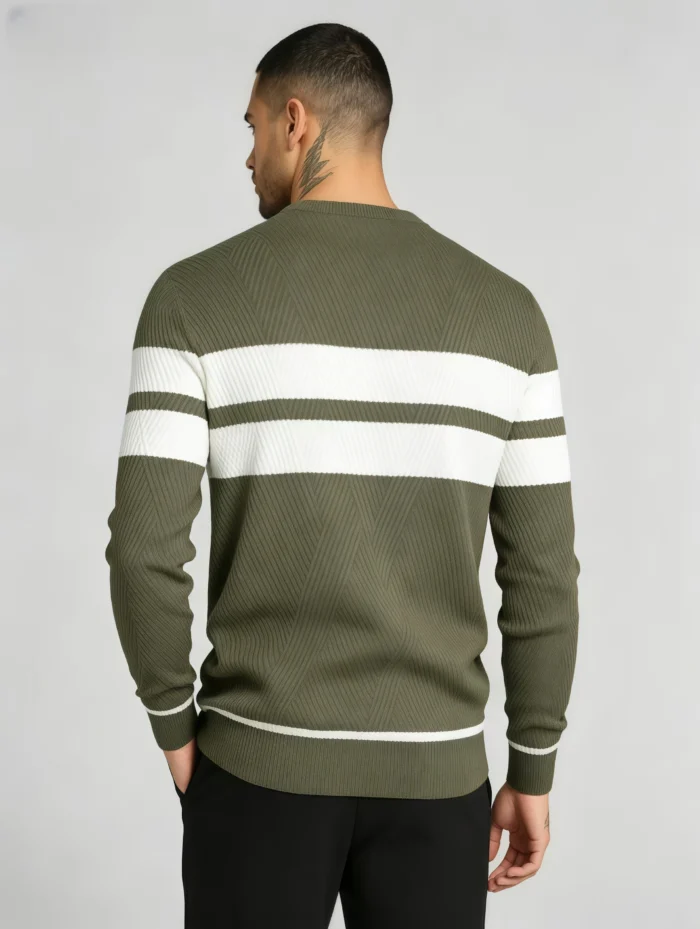Modern Fit Striped Contrast Crew Neck Knit - Image 21