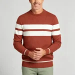 Modern Fit Striped Contrast Crew Neck Knit - Image 23