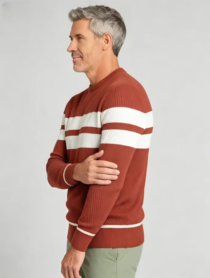 Modern Fit Striped Contrast Crew Neck Knit - Image 27